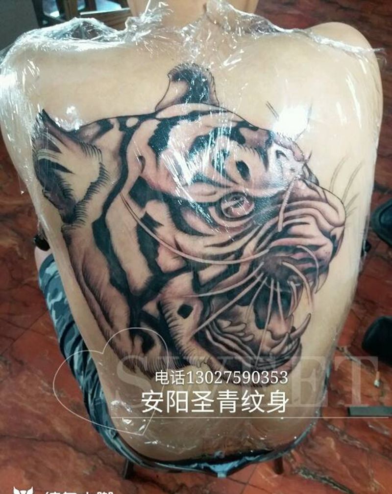 后背老虎完成纹身图片