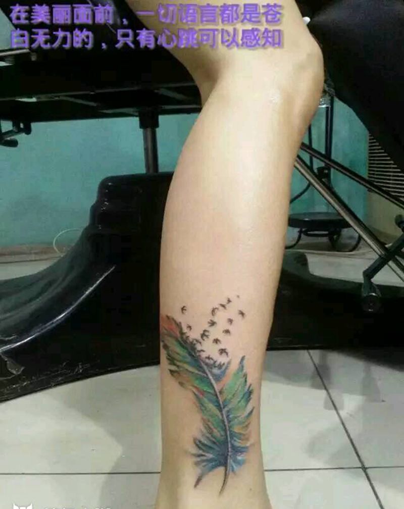 羽毛纹身图片