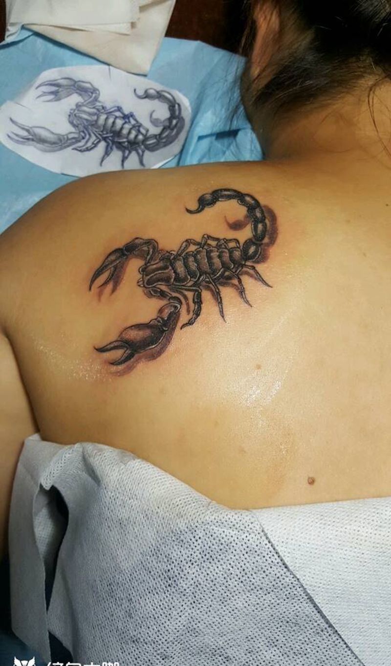 蝎子纹身图片_肩部胸部腹部腰部背部欧美清新动物蝎子成品纹身图案