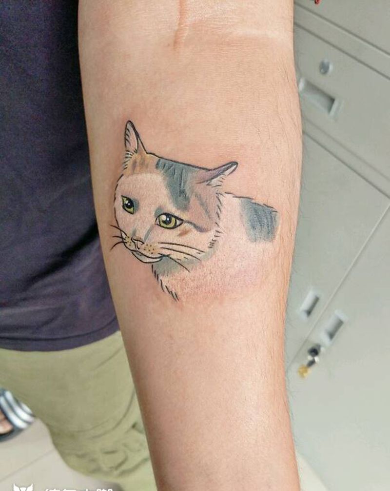 猫咪纹身图片_肩部胸部背部手臂腿部清新动物原创猫成品纹身图案