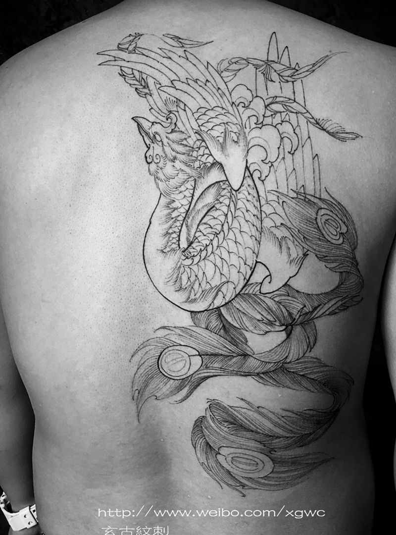 凤凰割线纹身图片