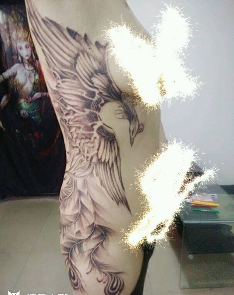 凤凰纹身图片_腹部腰部传统动物成品纹身图案