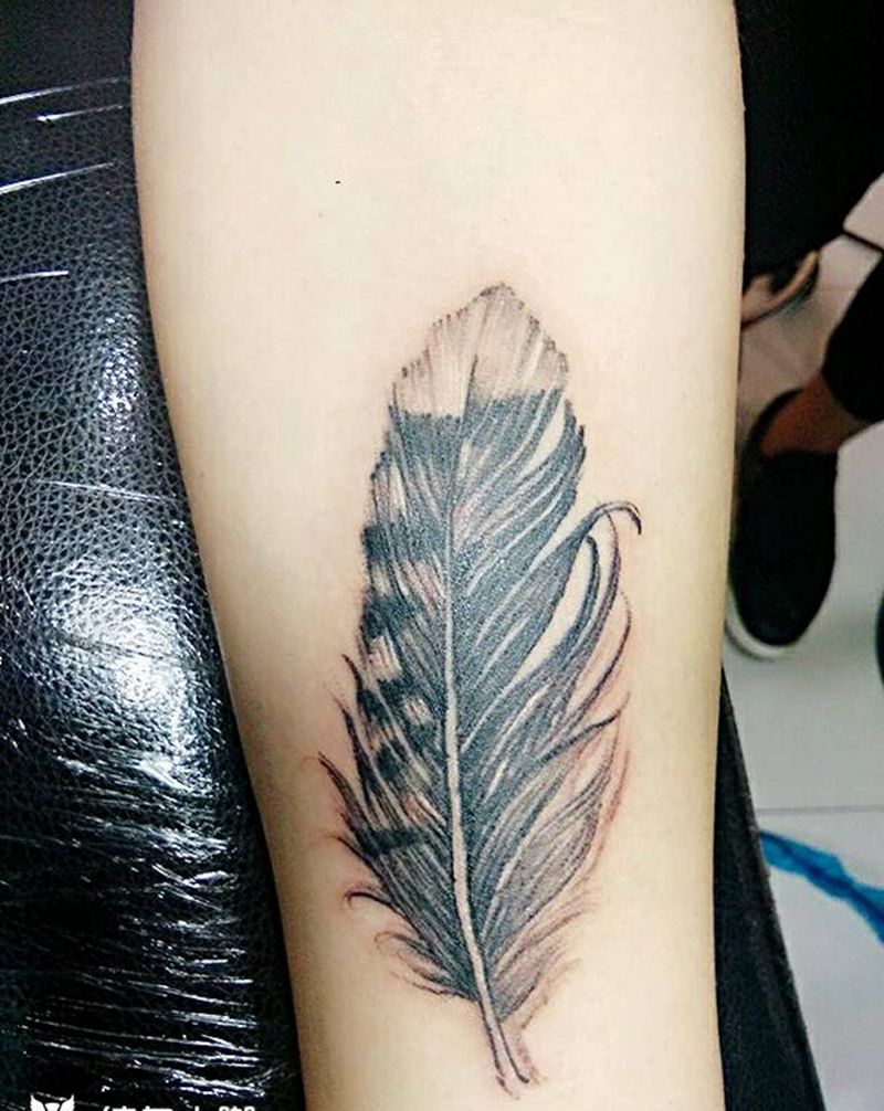 羽毛纹身图片