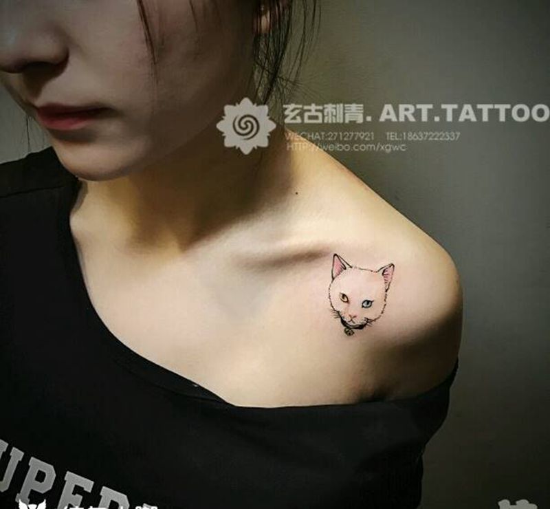 猫咪纹身图片_肩部欧美清新动物成品纹身图案