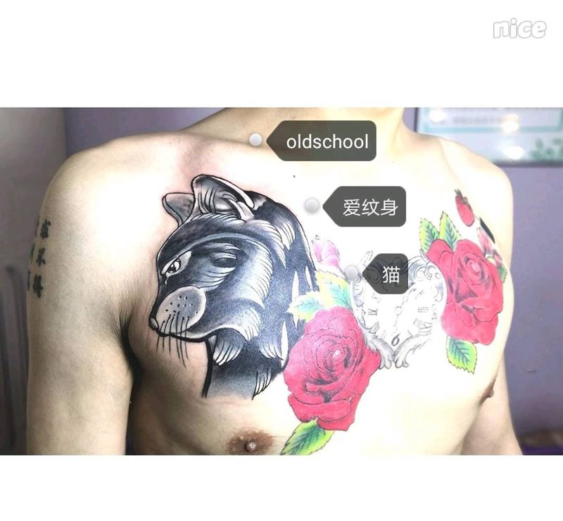 old school纹身图片_胸部Old School猫纹身图案