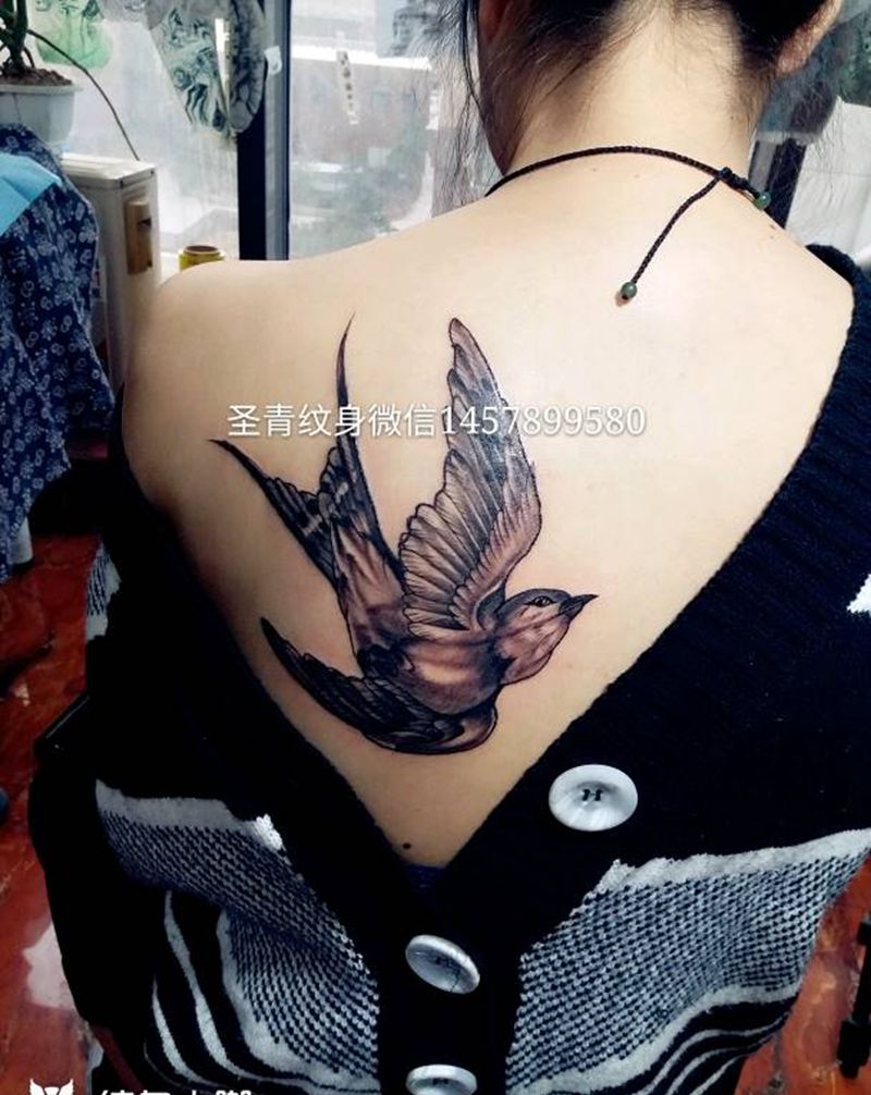 燕子完成喜欢的约我纹身图片