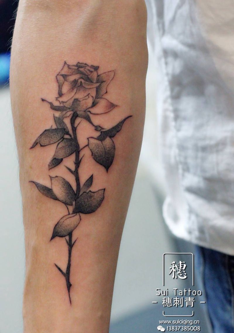 玫瑰花——by:点点纹身图片