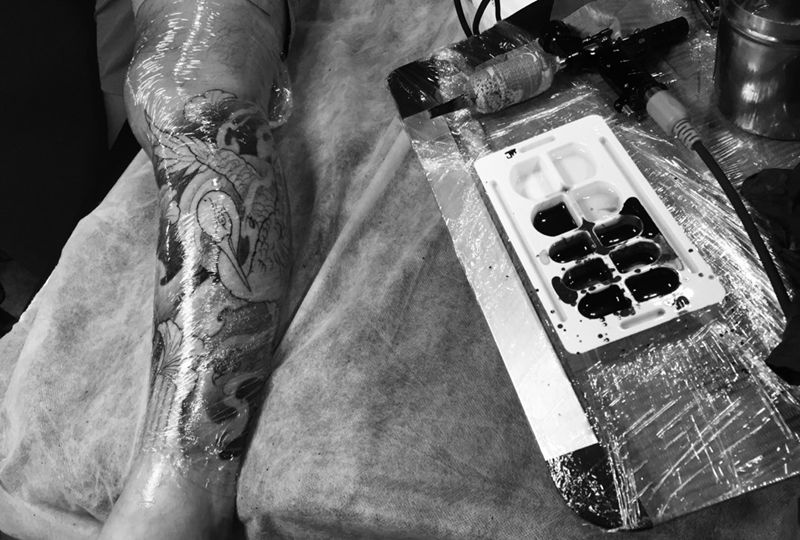 仙鹤小腿第二次纹身图片