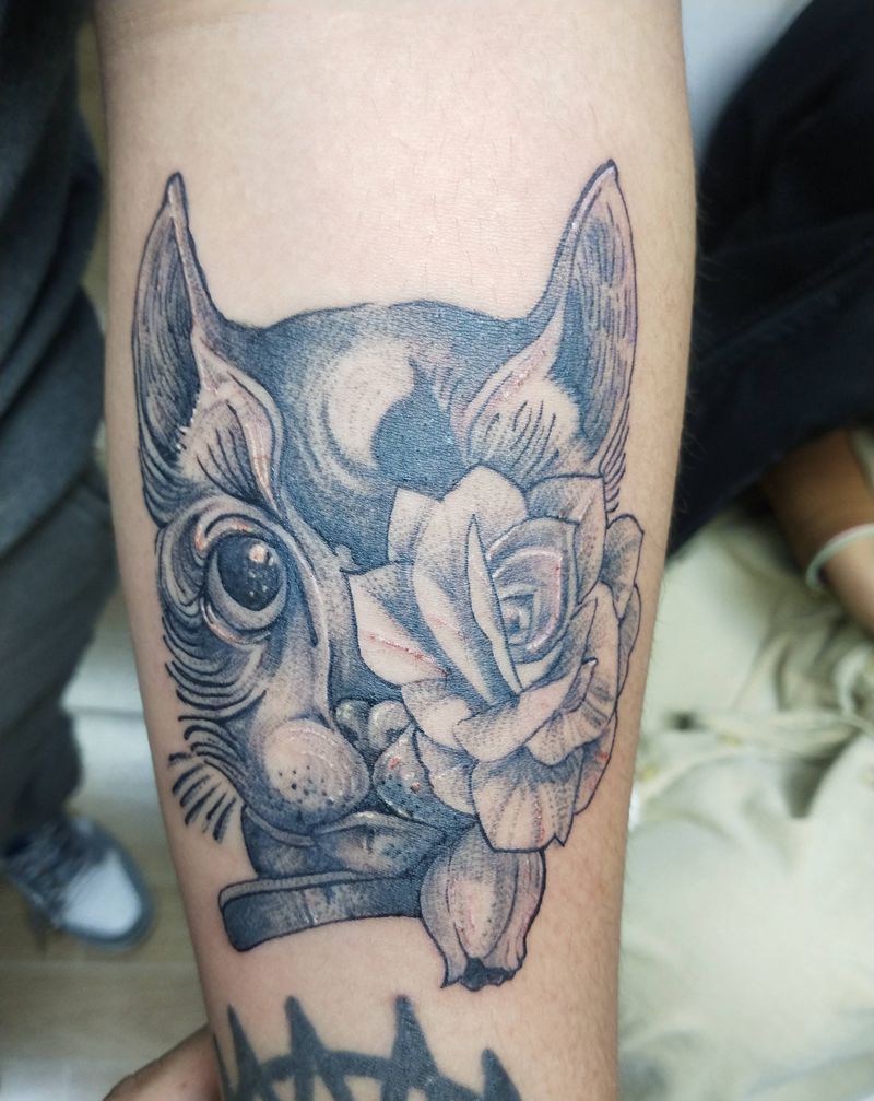 猫纹身图片_手臂点刺纹身图案