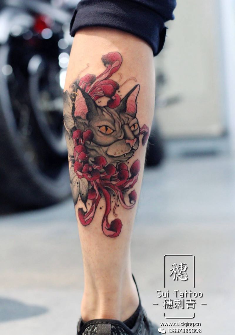 斯芬克斯猫纹身图片