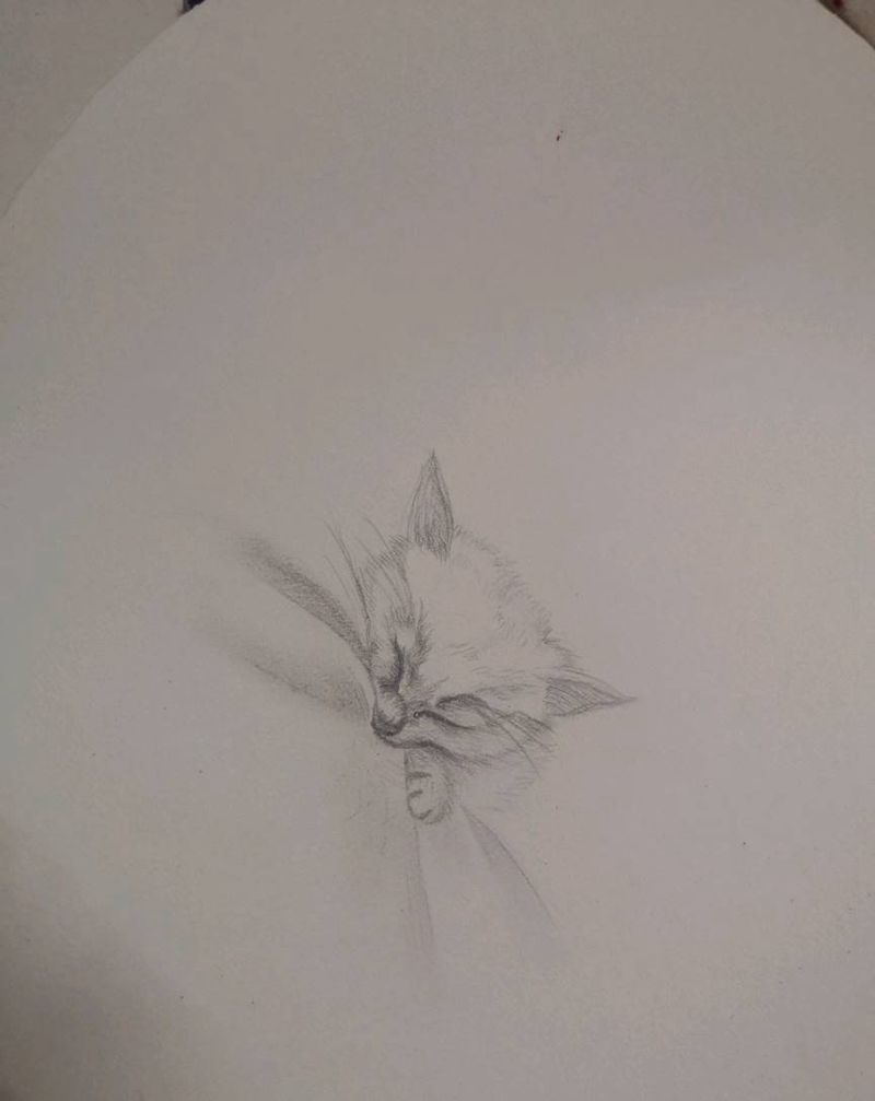 小猫纹身图片_胸部图腾猫纹身图案