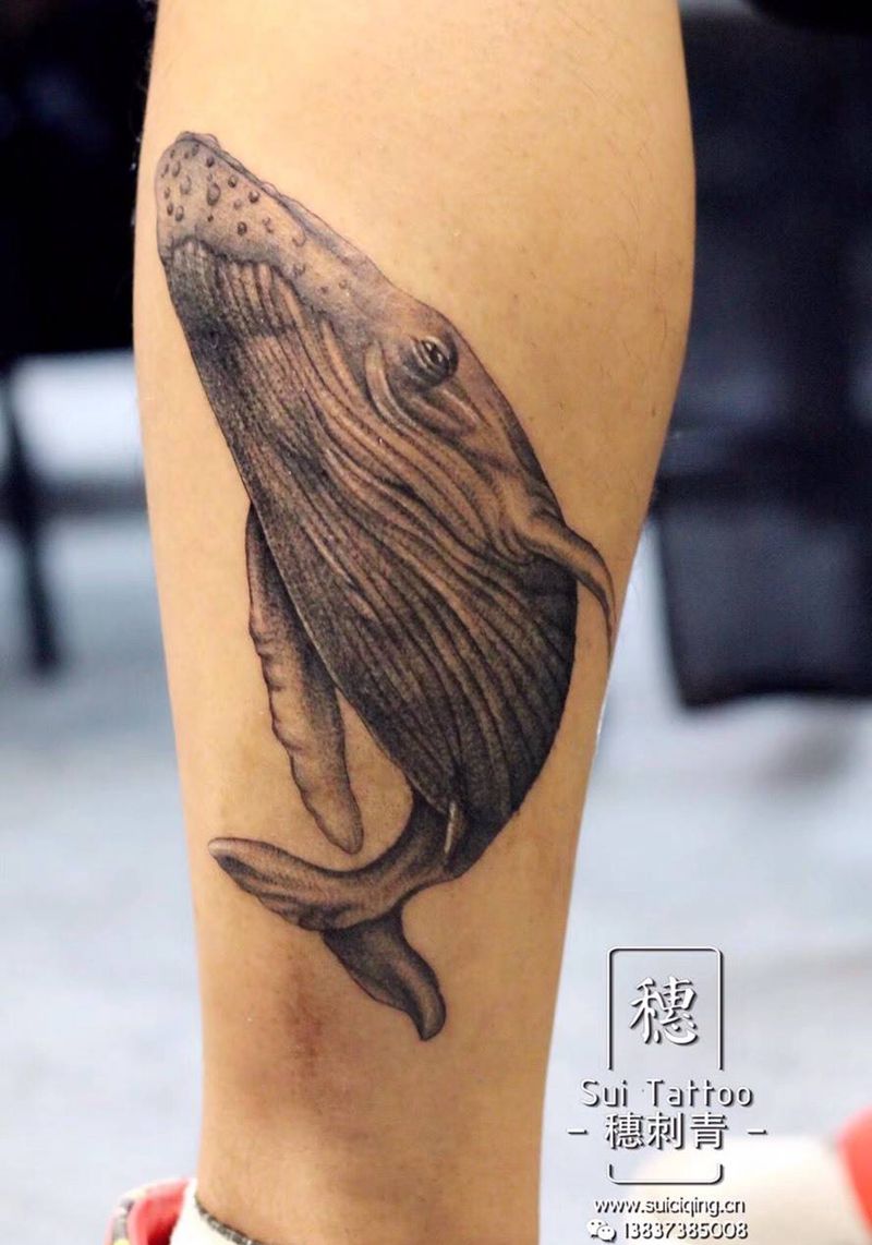 鲸鱼纹身图片