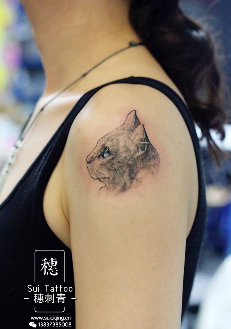 猫咪照片纹身图片