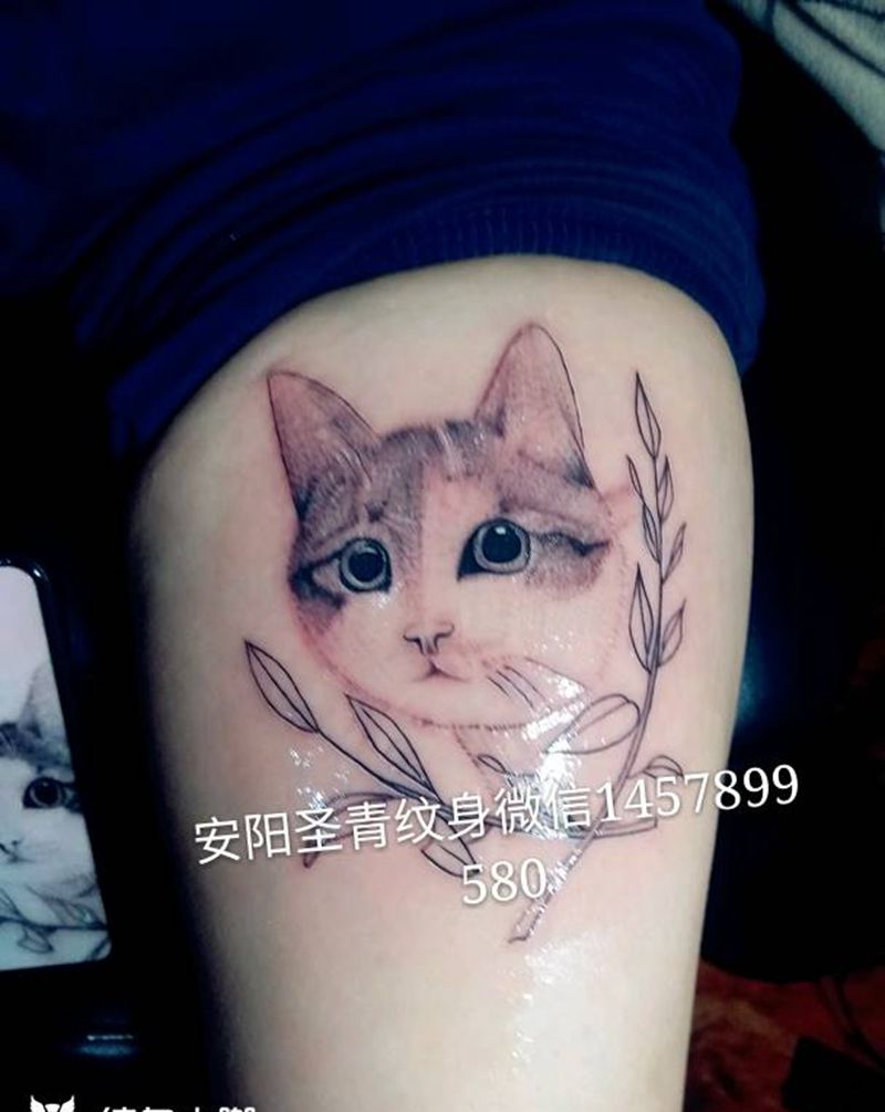 喵咪纹身图片