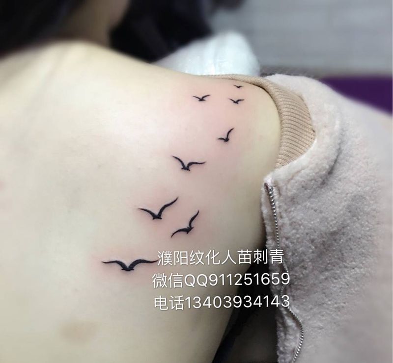 海鸥纹身图片