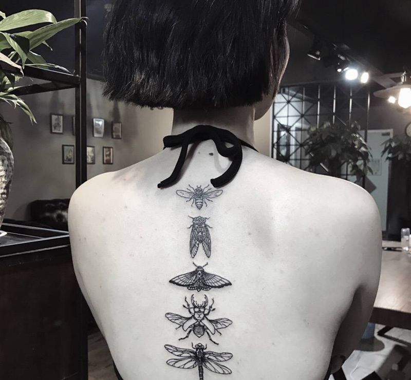 昆虫记纹身图片