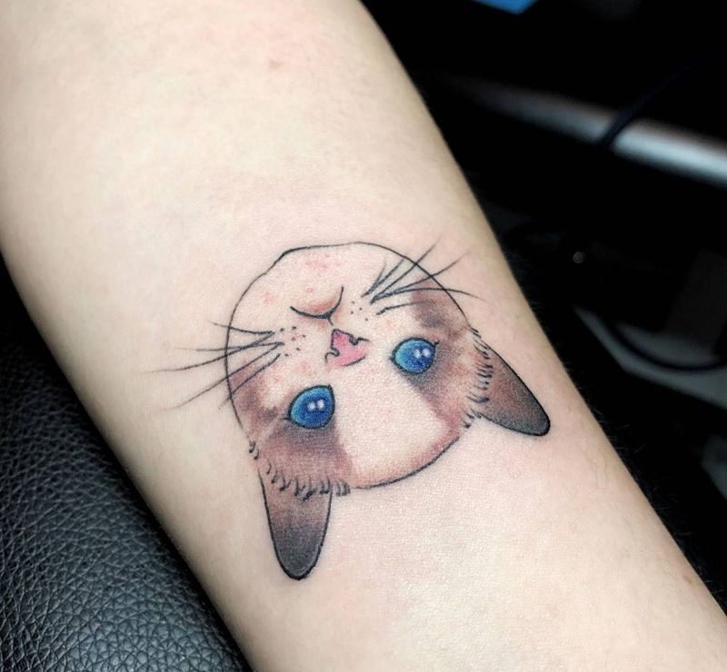 cat纹身图片