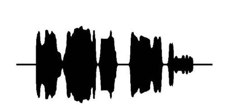 有声纹身，纹声纹身图片