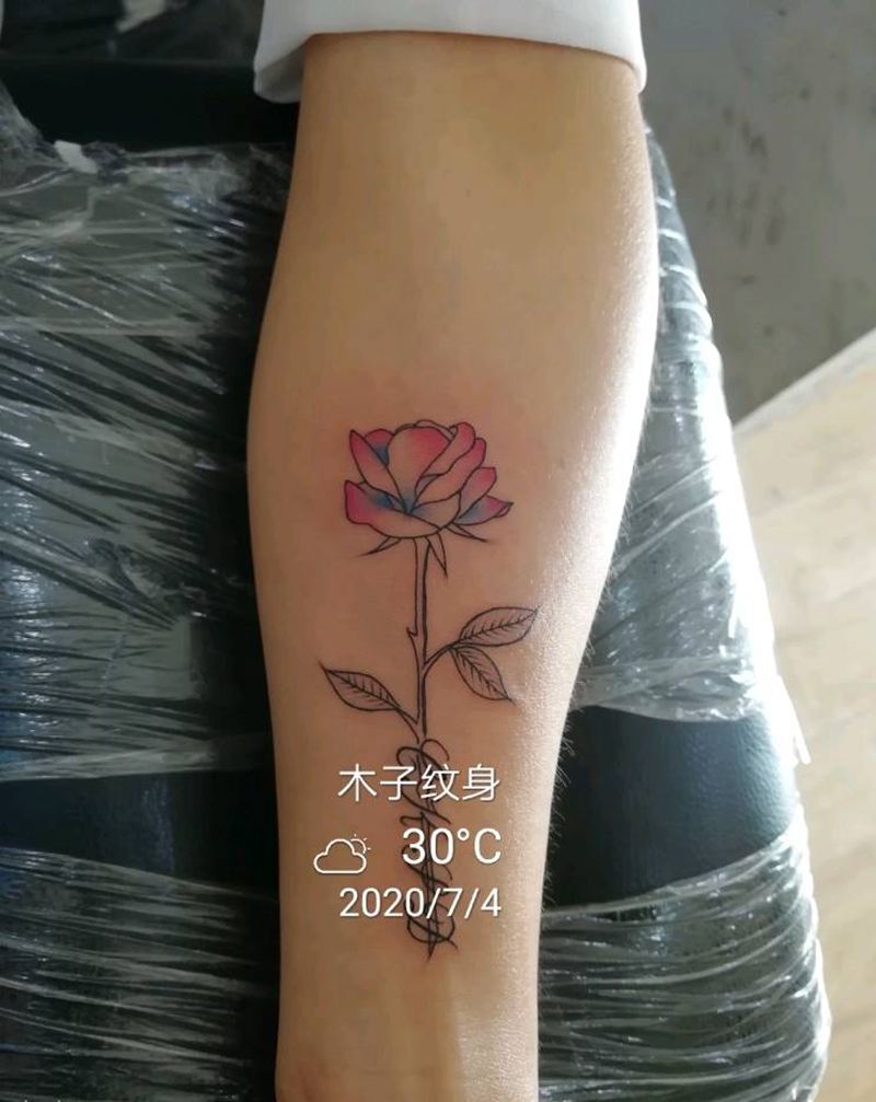 玫瑰纹身图片_手臂纹身图案