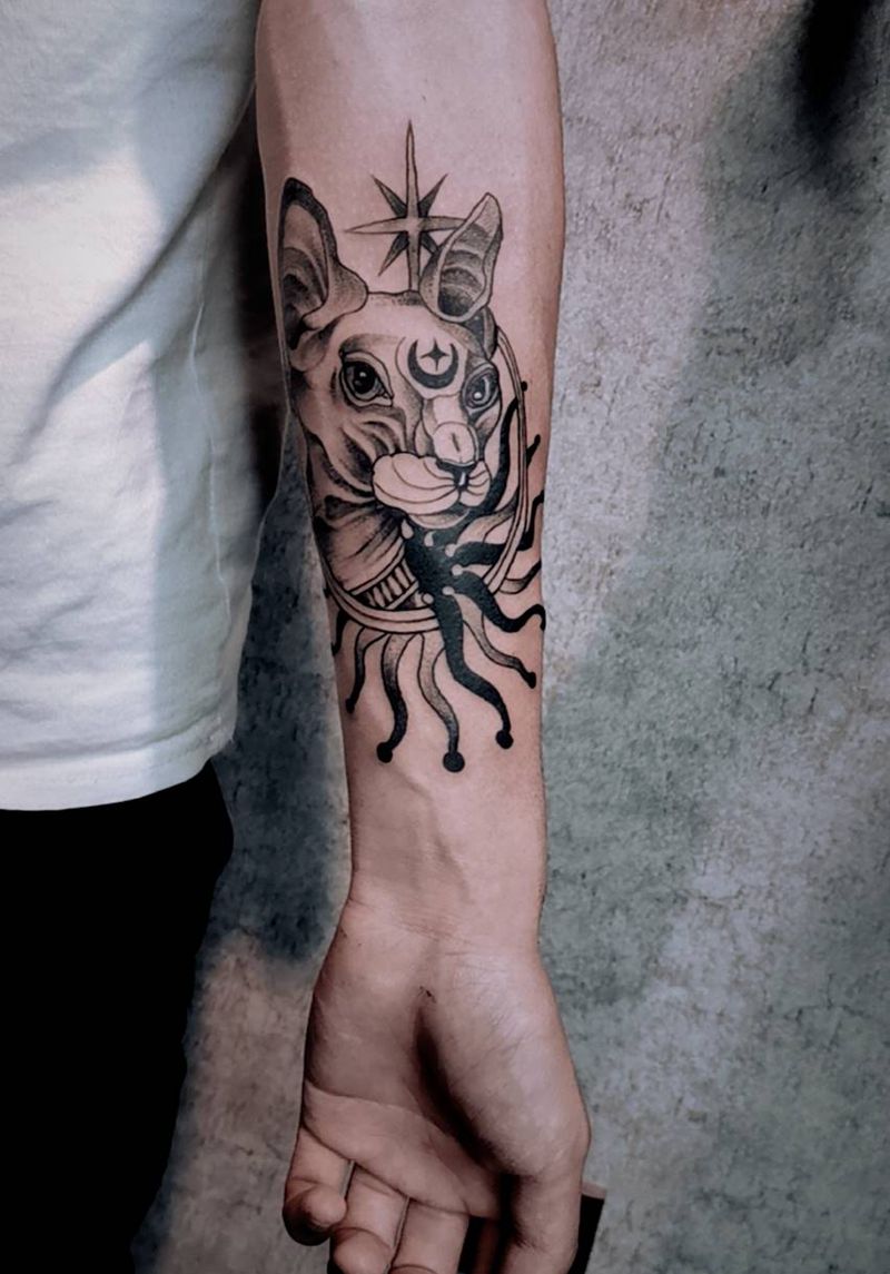 无毛猫纹身图片_手臂Old School点刺纹身图案