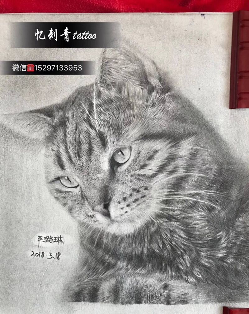 画个猫纹身图片