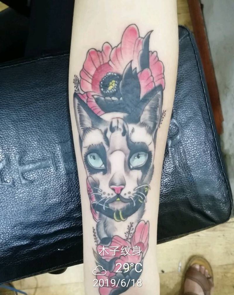 猫纹身图片_手臂纹身图案