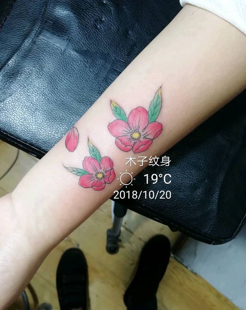 樱花纹身图片