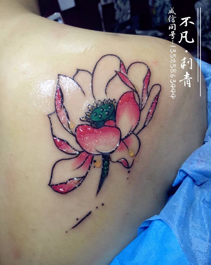 出水芙蓉，莲花一朵纹身图片_成品肩部背部传统国画植物纹身图案