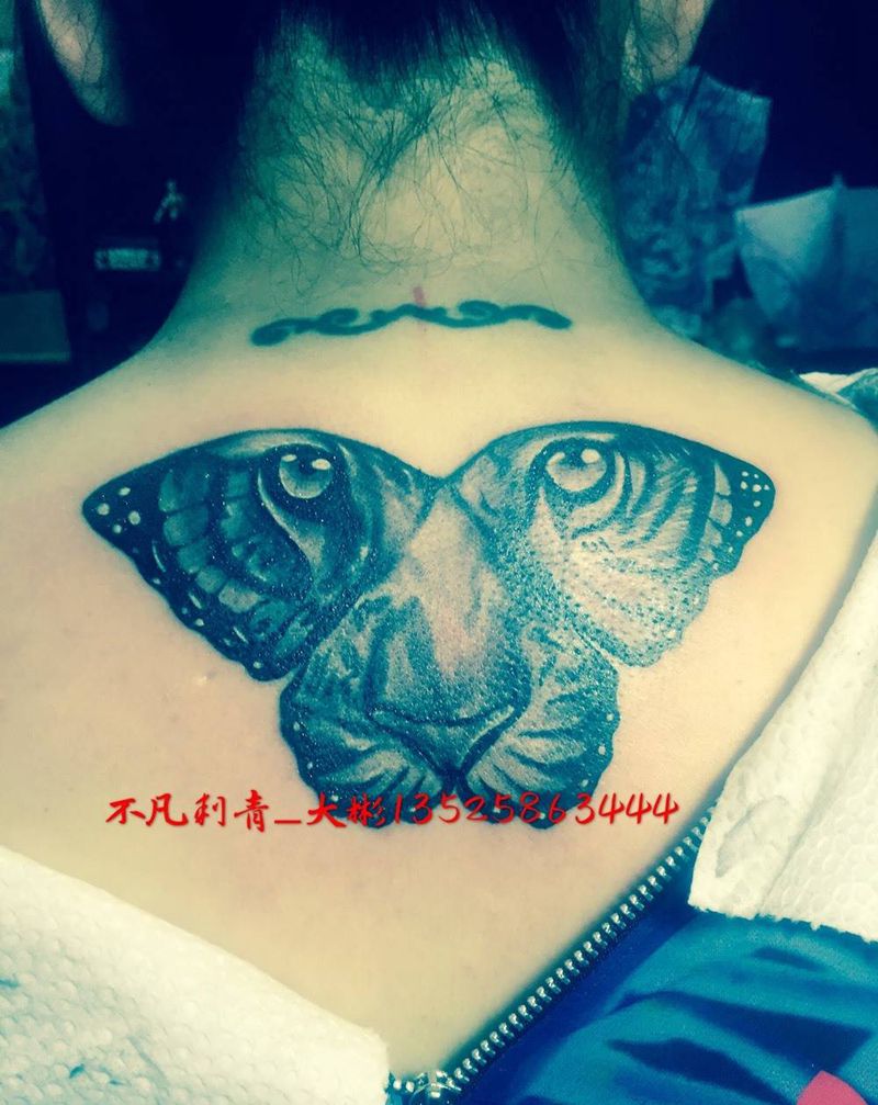 虎，蝶？蝴蝶？纹身图片_背部纹身图案