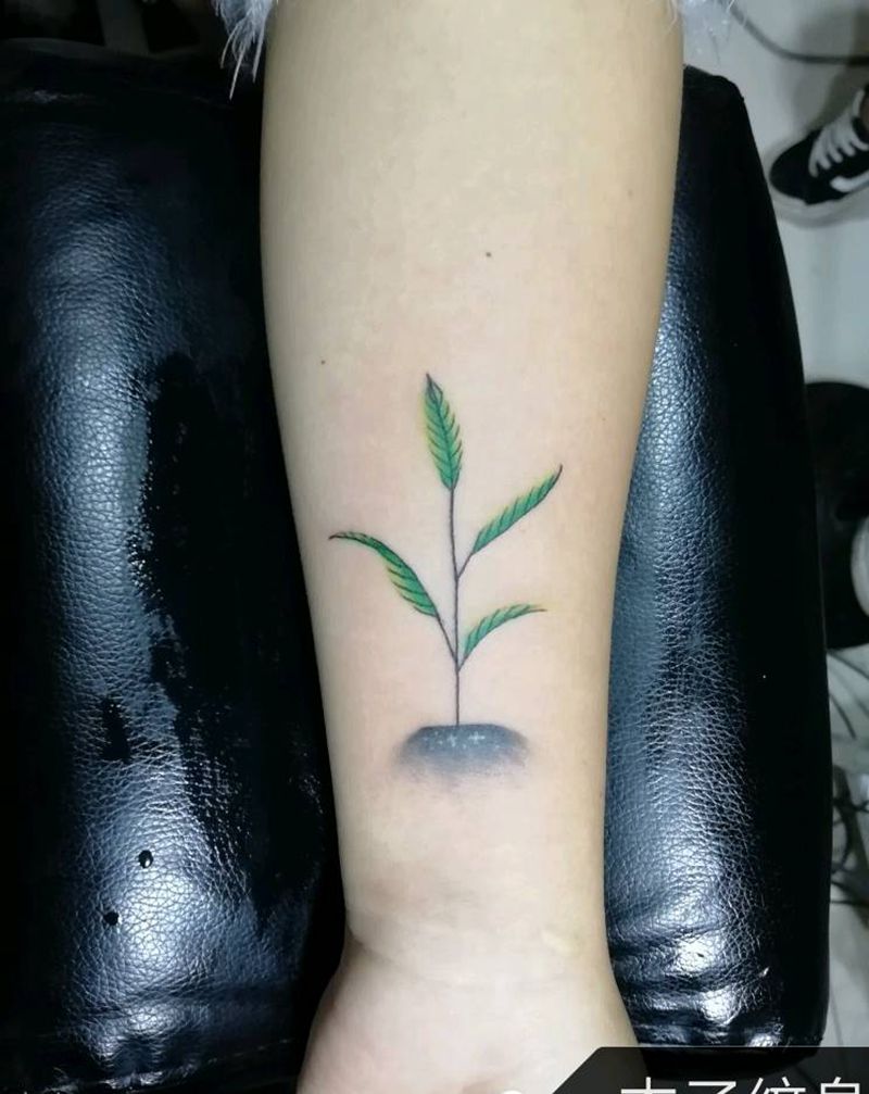 小草纹身图片