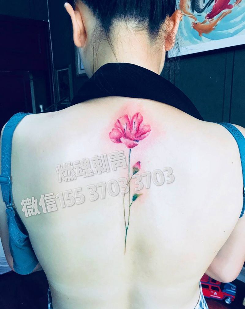 康乃馨纹身图片