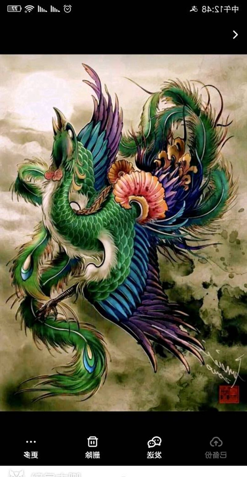 凤凰纹身图片_腹部新传统彩色凤凰纹身图案