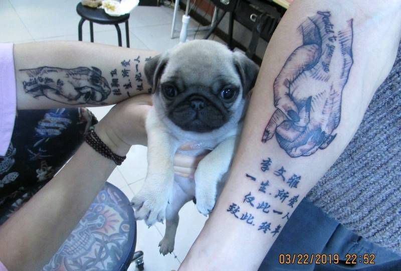 情侣纹身图片_手臂纹身图案