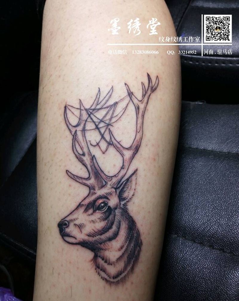 线条鹿纹身图片