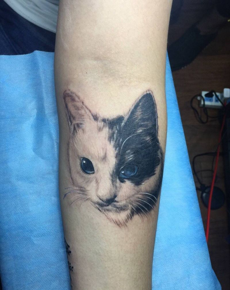 客人的宠物纹身图片