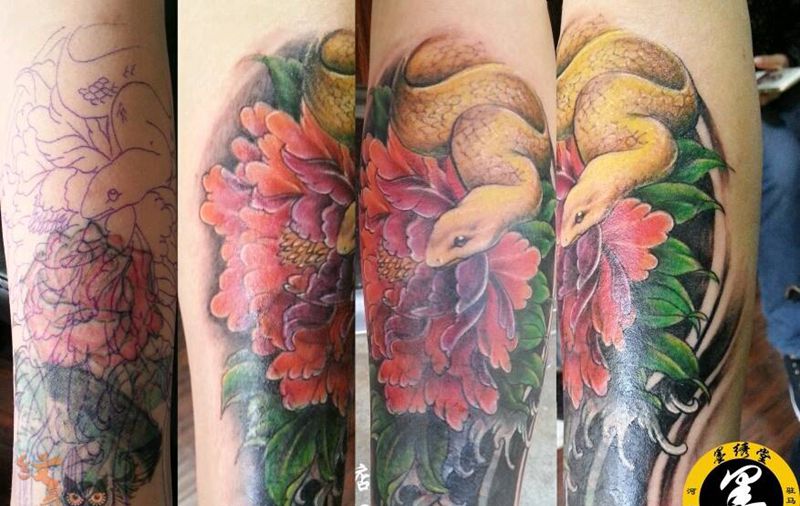 覆盖…金蛇牡丹纹身图片