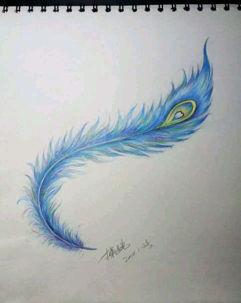 彩色羽毛纹身图片