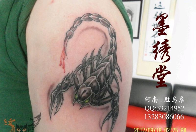 蝎子纹身图片