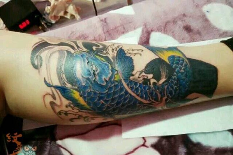 鲤鱼纹身图片