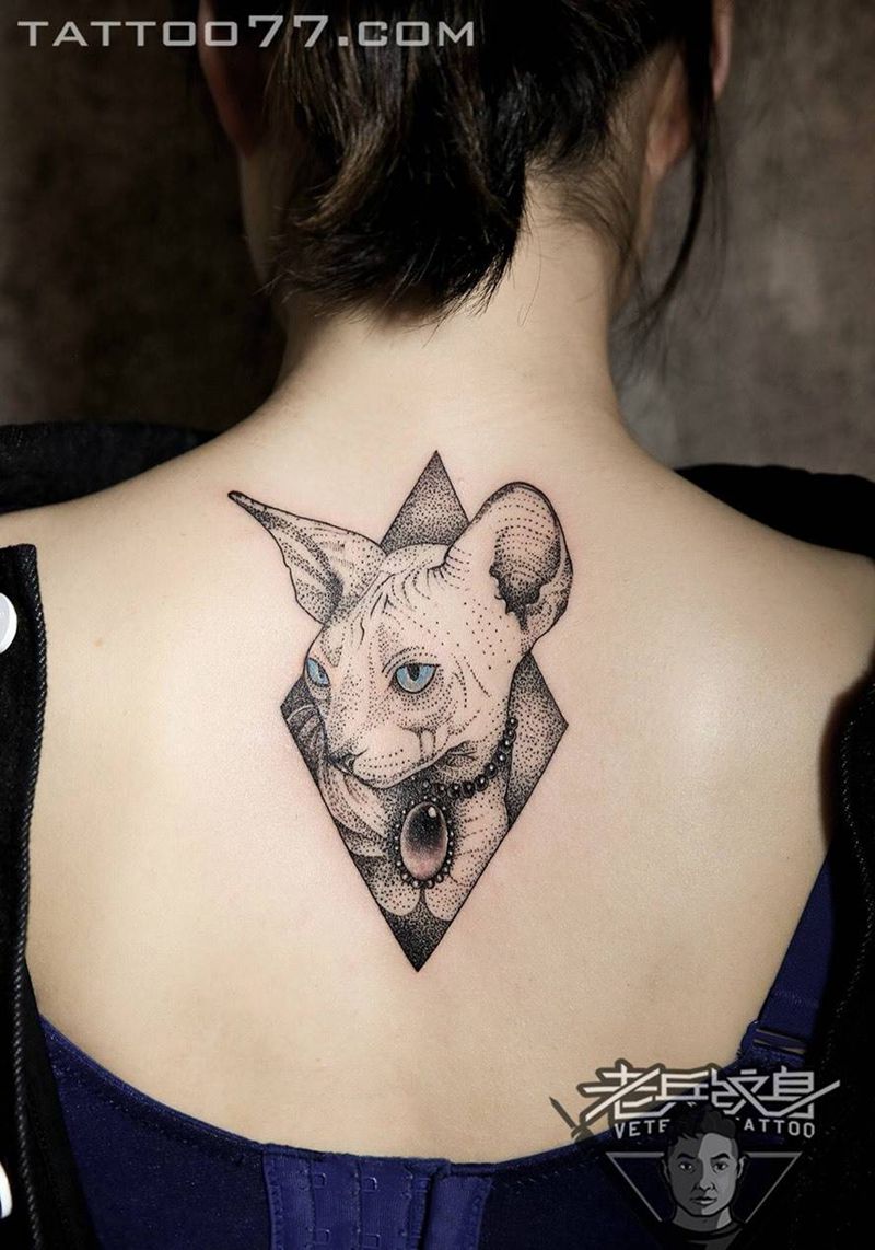 后背点刺猫咪纹身作品纹身图片_成品背部清新动物纹身图案