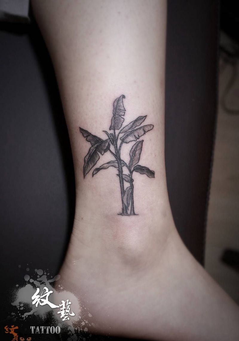 小清新风格…芭蕉