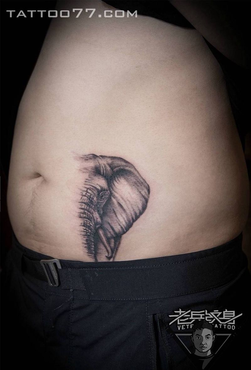 腹部象纹身作品纹身图片_成品腹部肖像动物纹身图案
