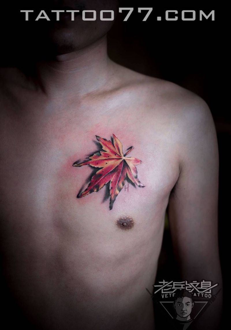 胸口枫叶纹身作品纹身图片_成品胸部清新植物纹身图案