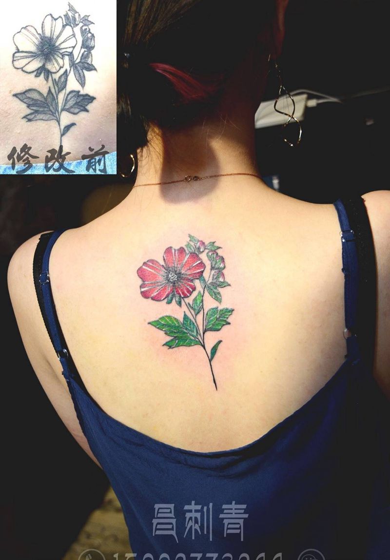 修改作品纹身图片