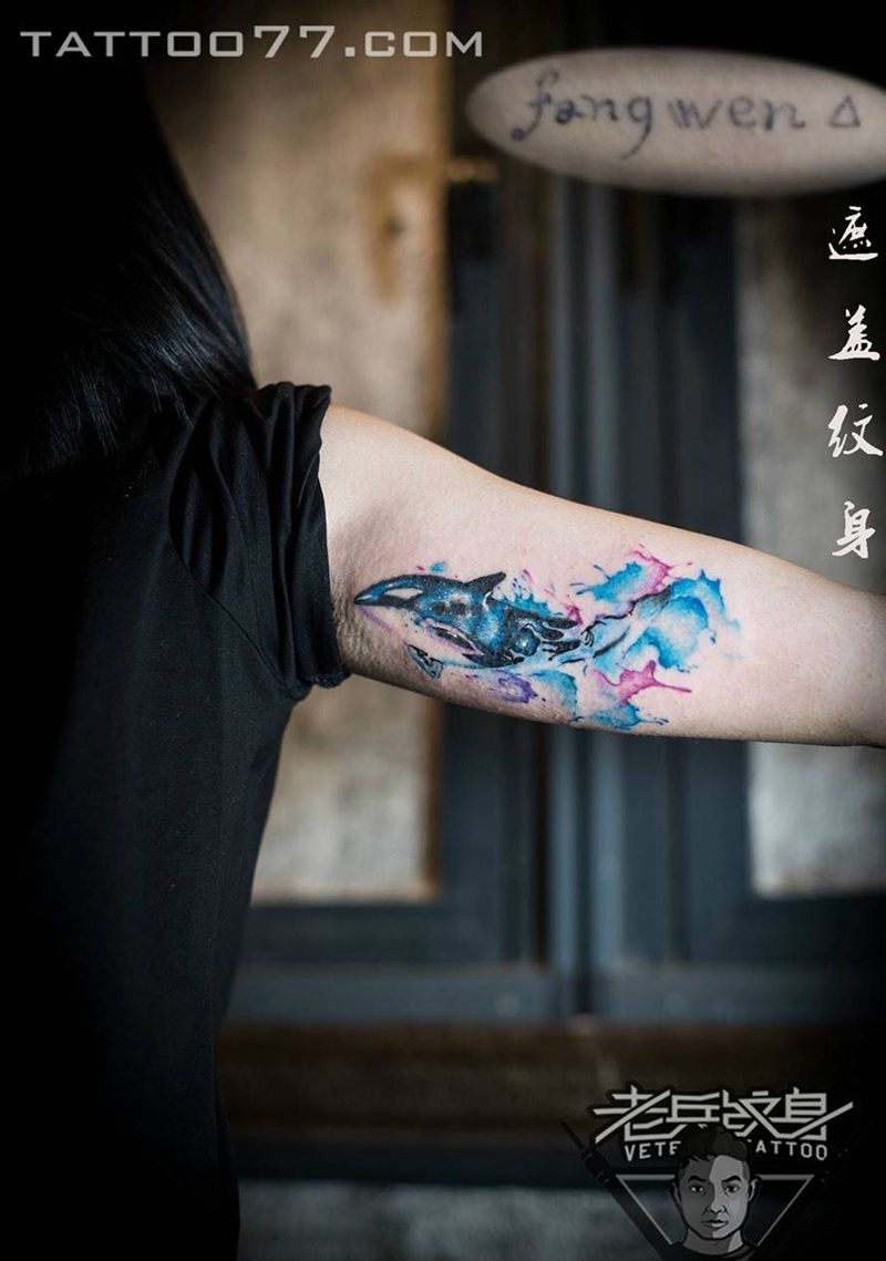 海豚遮盖纹身图片_成品手臂清新动物纹身图案