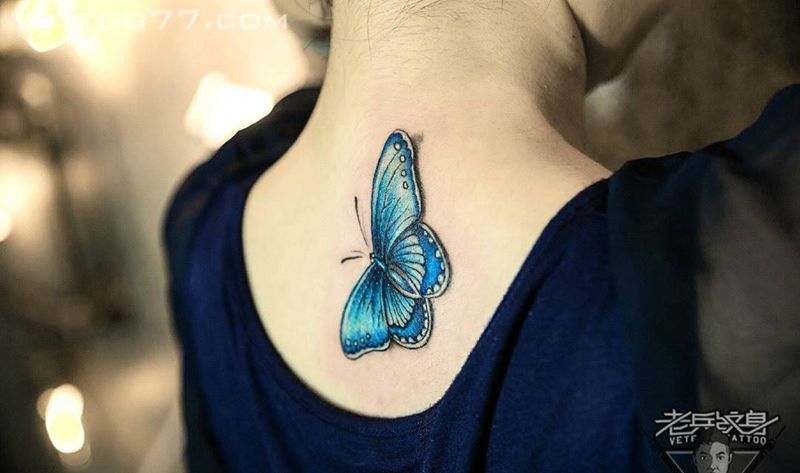 后背蝴蝶纹身作品纹身图片_成品背部传统动物纹身图案