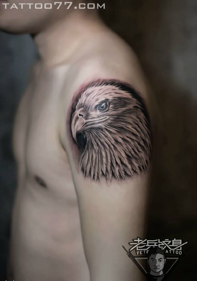 大臂鹰头纹身作品纹身图片_成品手臂欧美动物纹身图案