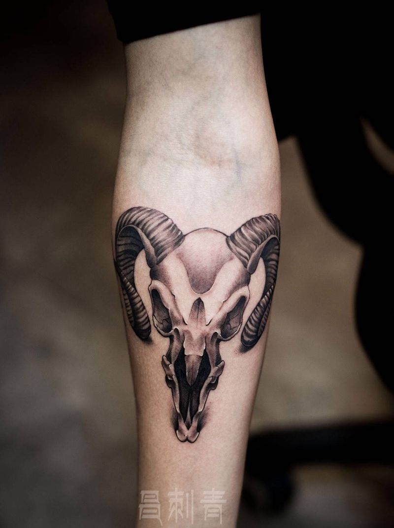 羊头骷髅纹身图片_成品欧美手臂手部动物写实纹身图案