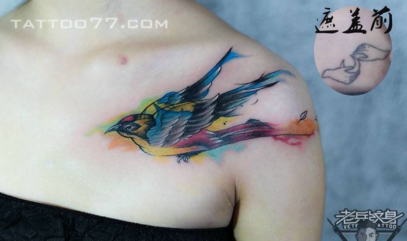 胸口水彩燕子纹身作品遮盖旧纹身纹身图片_成品胸部清新动物纹身图案