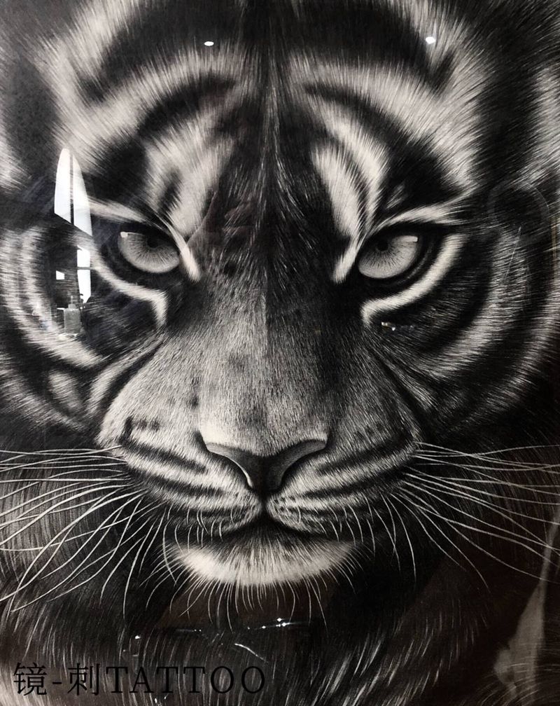 个人素描作品-虎纹身图片_手臂背部欧美写实纹身图案